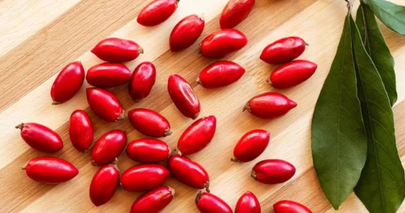 Limonun tadı baklava gibi gelecek: Ağzınıza atın ve bekleyin Sözcü Gazetesi