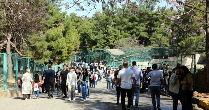 Türkiye de doğan ilk zürafa! Ziyaretçilerin karşısına çıktı, ismi anketle belirlenecek