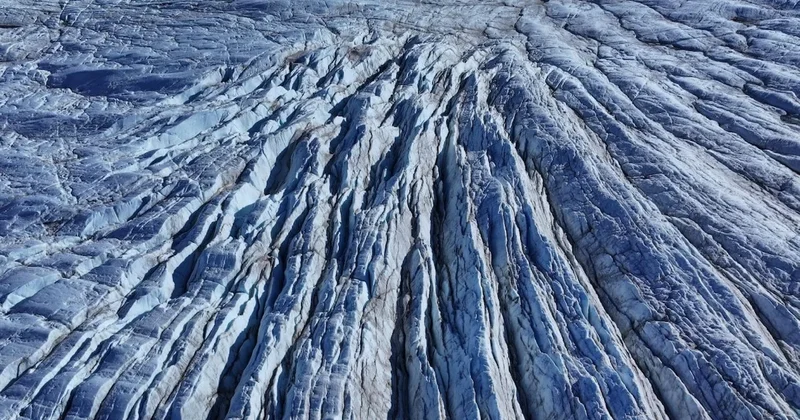 Binlerce yıllık virüsler uyanıyor: Donmuş tehlike gün yüzüne çıkıyor Sözcü Gazetesi