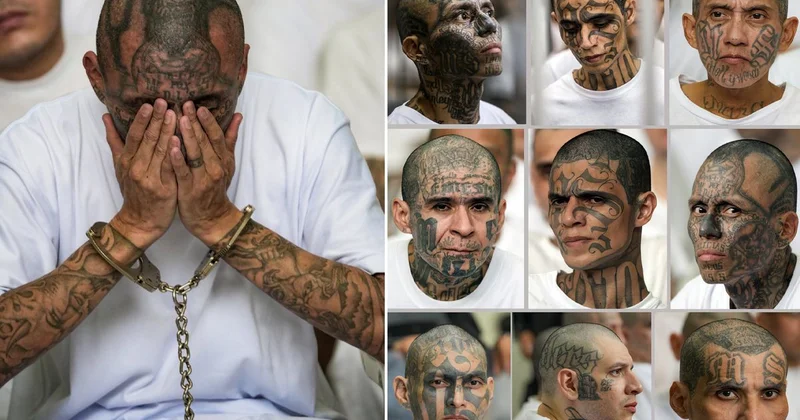 Bukele dev davada yargılanan çete üyelerinin fotoğraflarını paylaştı