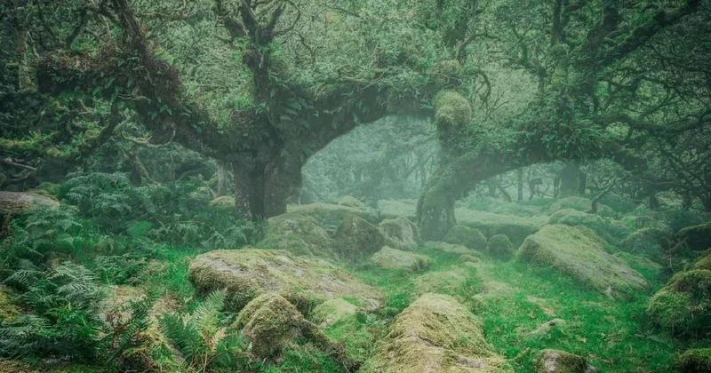 Denizin altında binlerce yıllık gizli hazine bulundu Sözcü Gazetesi