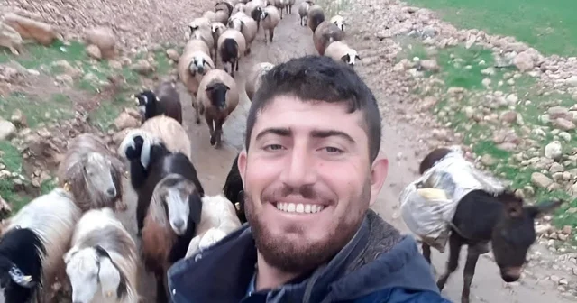 Mardin de çobanın öldürüldüğü silahlı saldırıya ilişkin 5 tutuklama Mardin Haberleri