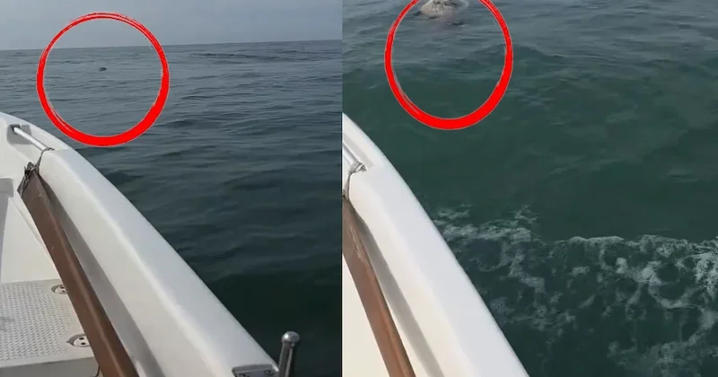 Denizin ortasında gördüğü şeye inanamadı: Nereden düştü oraya? Sözcü Gazetesi