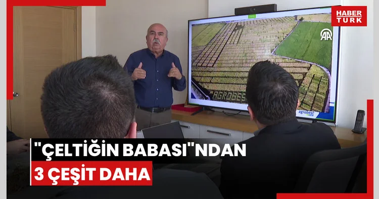 Çeltiğin babası ndan 3 çeşit daha