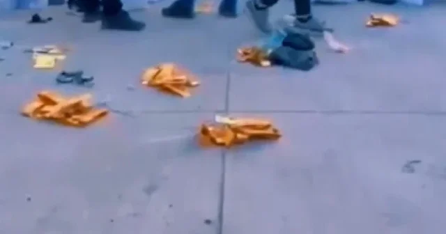 Şırnak ta 590 milyon lira değerinde kaçak altın ve döviz ele geçirildi VİDEO İZLE