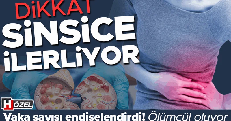Dikkat: Sincisi ilerliyor! Artan vaka sayısı endişelendirdi… Belirtileri neler, kimler risk altında?