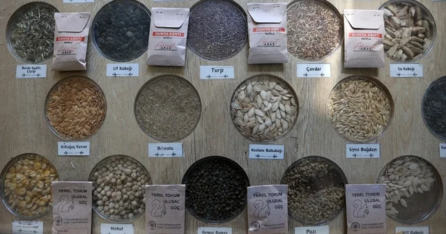 3 milyon yerel tohum dağıtıldı Muğla Haberleri