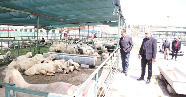 MESOB Başkanı Keskin: Canlı Hayvan Pazarı yeniden kamu malı olmalı Malatya Haberleri