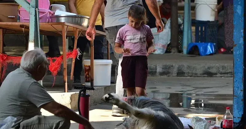 12 yaşından küçüklere kurban kesimini göstermeyin
