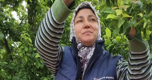 Yaz meyvelerinde bereket üreticinin yüzünü güldürdü Manisa Haberleri