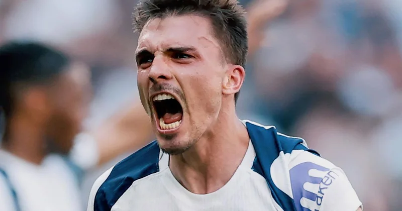 Son maçta kazanan Tottenham Hotspur ligde kaldı