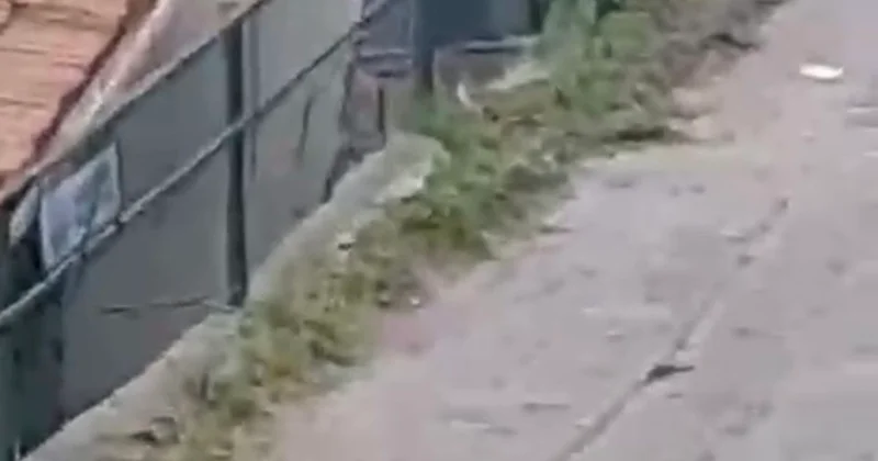 Sarıyer de bahçede kalaşnikof ve el bombası bulundu