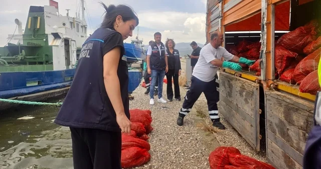 İzmir de yasa dışı su ürünleri avcılarına ağır darbe: 7 ton kaçak midye ele geçirildi İzmir Haberleri