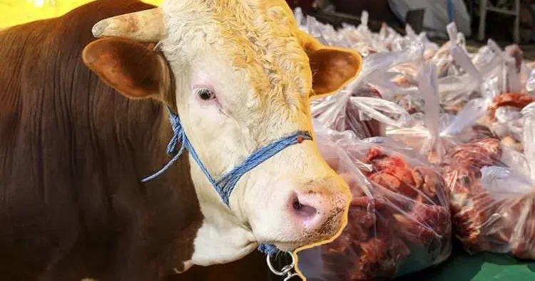 Kurban Bayramı öncesi uzmanından altın değerinde uyarılar: Kurban etini sakın poşete koymayın!