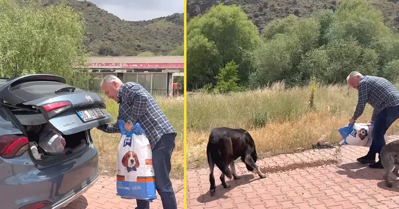 Bayram trafiğinde tepki çeken Yol kenarına mama bırakın çağrısı!