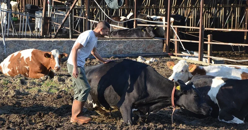 Bankacılığı bıraktı, kendi imparatorluğunu kurdu: 2 inekle başladı... Sözcü Gazetesi