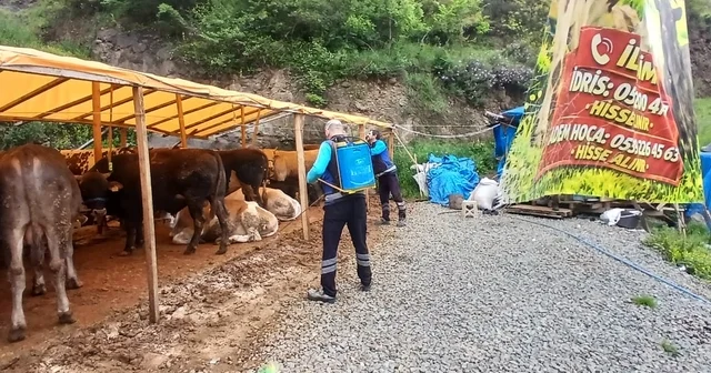 Trabzon da kurban satış ve kesim alanları dezenfekte edildi Trabzon Haberleri