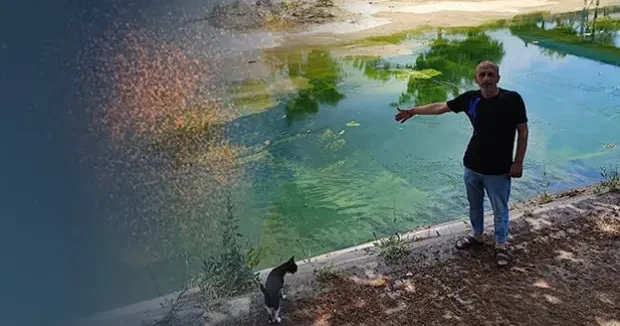 Adana haberleri Kenti istila ettiler! İhmal var diyen vatandaş: Çocuklarımız yara içinde 24 Haziran 2026