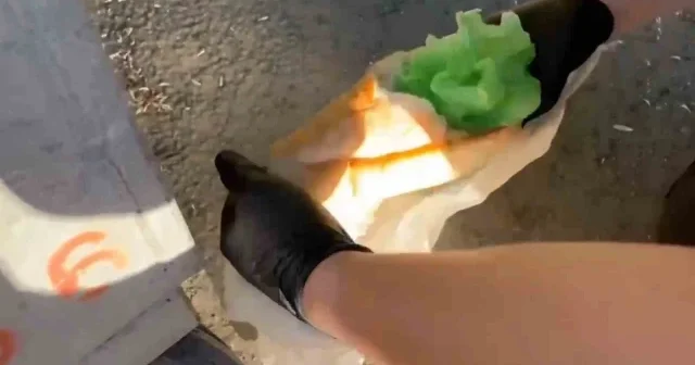 Tekirdağ da ekmek arasından uyuşturucu çıktı VİDEO İZLE