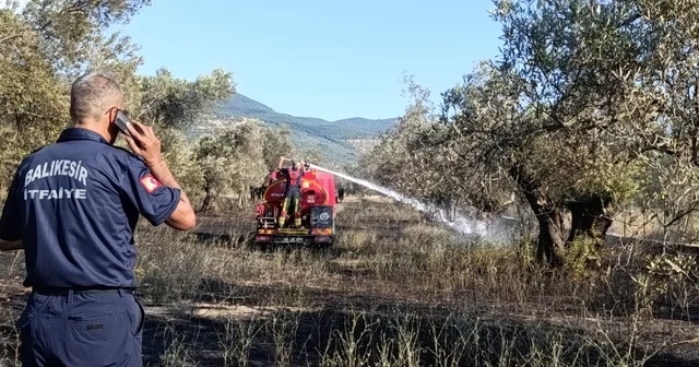 Balıkesir Ziraat Odası Başkanı Demirbay: Bir yıllık emek bir sigara izmaritiyle kül olmasın Balıkesir Haberleri Habertürk Yerel Haberler