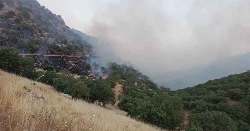 Mardin’deki örtü yangınları ekiplerin müdahalesiyle kontrol altına alındı Gündem Haberleri