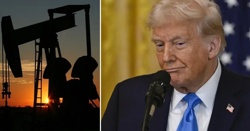 Trump incelenmesini istedi: Petroldeki düşüş neden pompa fiyatlarına yansıtılmıyor? Türkiye Ekonomisi Haberleri