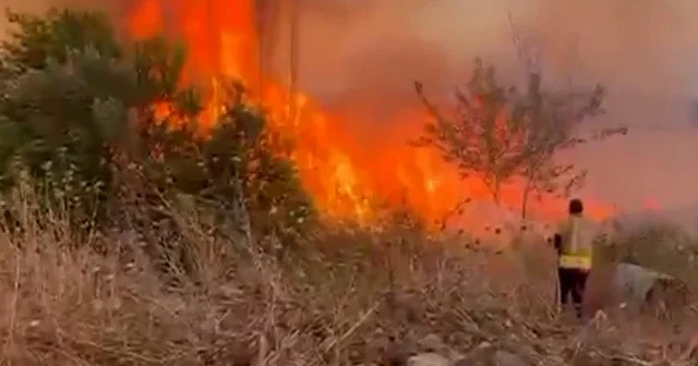 Hatay’da anız yangını paniği: Rüzgar alevleri bahçelere taşıdı VİDEO İZLE
