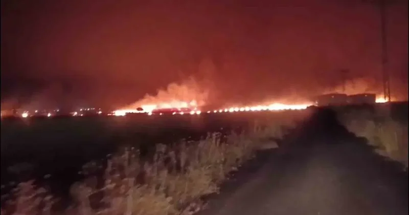 Şırnak’ta çıkan yangında 300 dönümlük alan küle döndü