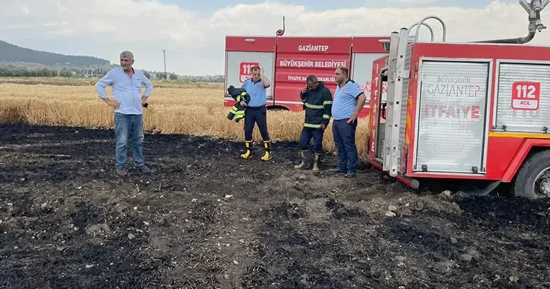 Gaziantep te 5 dönümlük buğday tarlası yandı