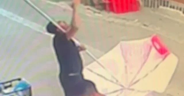 Küçükçekmece’de nefes kesen anlar kamerada: 7’nci kattan düşen kediyi şemsiye açarak kurtardılar VİDEO İZLE