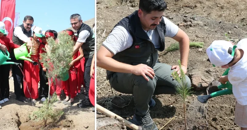 Hatay da orman yangınında zarar gören alana bin fidan dikildi Aktüel Haberleri