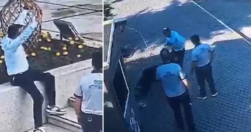 Manisa da köpeğe ve güvenliğe saldıran şüpheli tutuklandı Manisa Haberleri