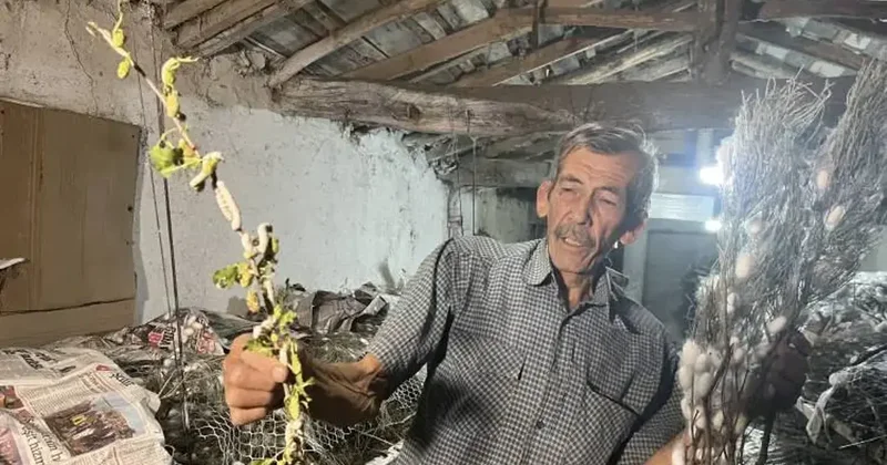 60 yıldır bu işi yapıyor! 40 günde 216 bin TL kazandı
