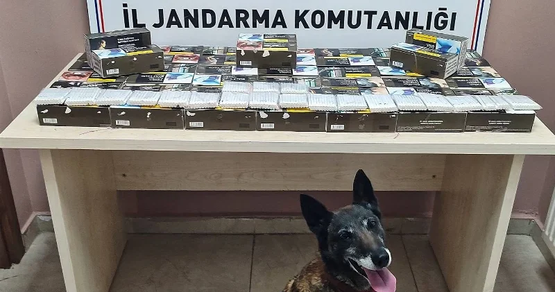 Yol kontrolünde 10 bin doldurulmuş makaron ele geçirildi Kayseri Haberleri