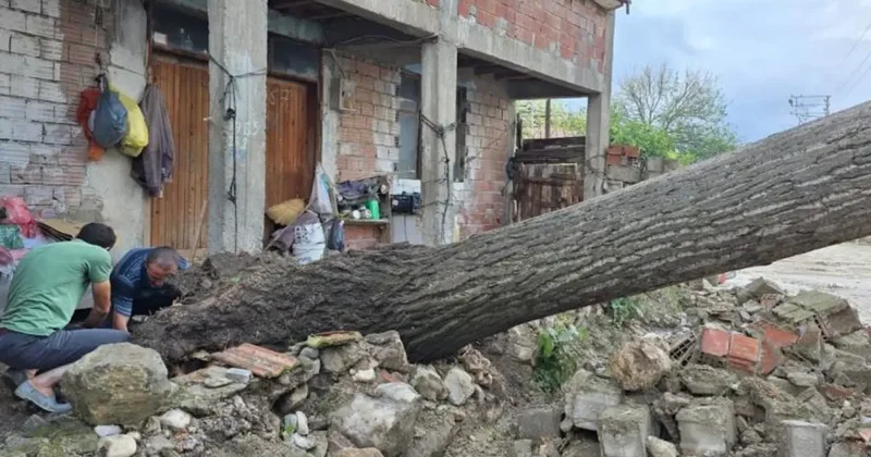 Samsun da şiddetli sağanak ve dolu zarara yol açtı