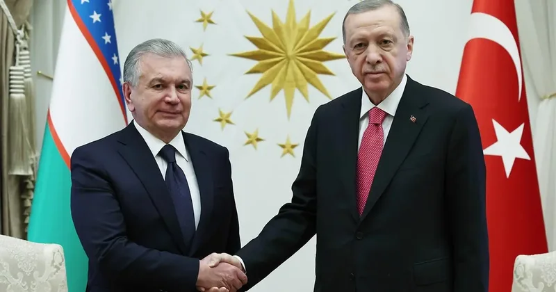 Cumhurbaşkanı Erdoğan, Özbek mevkidaşı Mirziyoyev ile ilişkileri ve zirveleri görüştü