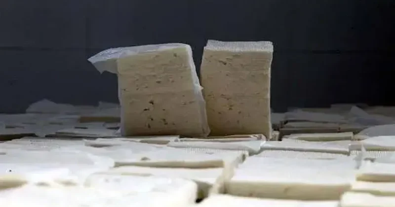 Beyaz peynirin içinden ölümcül bakteri çıktı, bakanlık toplatma kararı aldı! Bir kişi fenalaştı