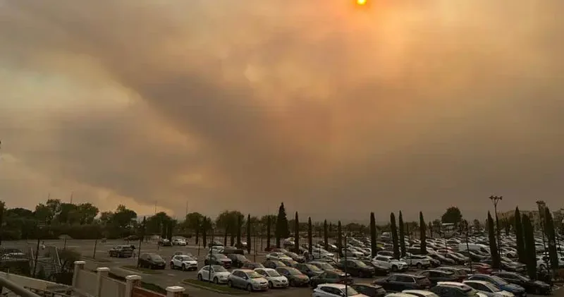 İspanya da orman yangınları nedeniyle acil durum ilan edildi