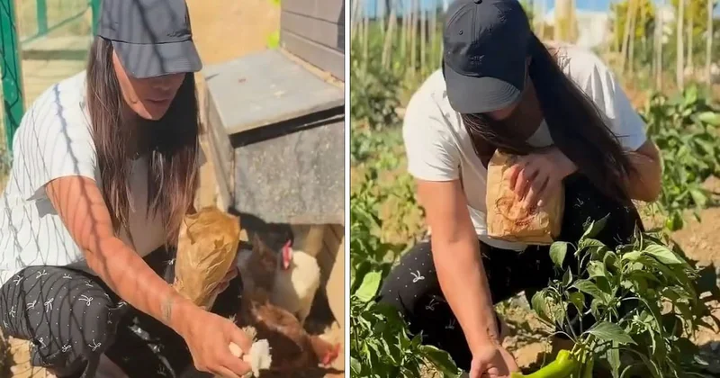 Dalından biber ve domates, kümesten yumurta! Asena İstanbul u bırakıp Yalova da çiftlik hayatına başladı Sözcü Gazetesi