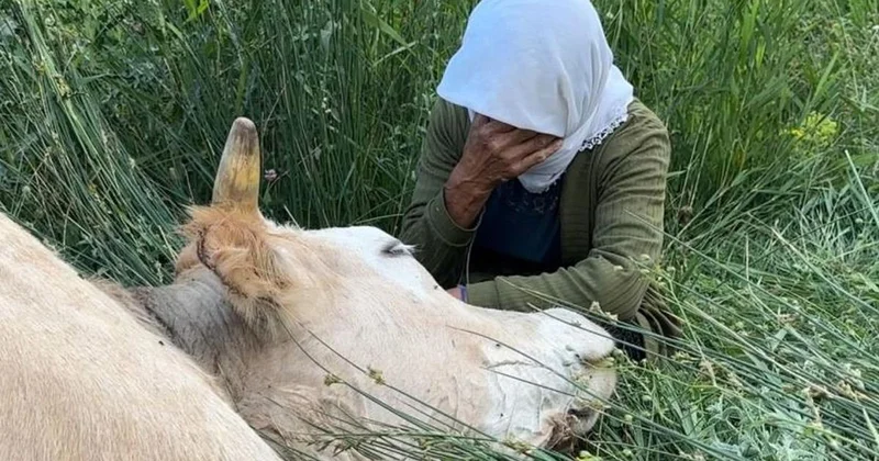 Türkiye nin gündemine oturan teyzenin yüzünü güldürdüler