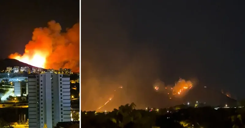 Ankara da ağaçlık alanda yangın: Şüpheli 1 kişi gözaltına alındı
