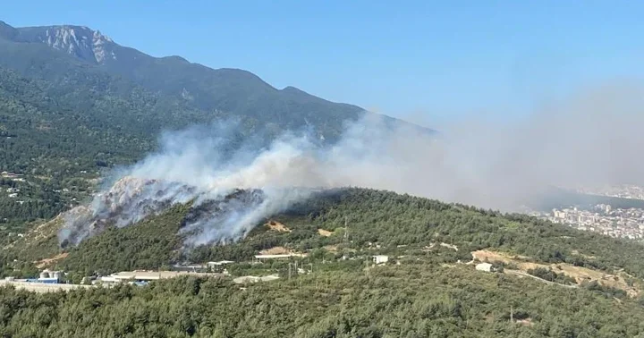 Bursa da aynı anda 3 noktada yangın! Alevlere karadan ve havadan müdahale ediliyor