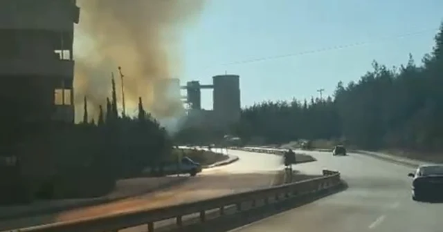 Bursa da iki noktada aynı anda yangın... Ağaçlar alev alev yandı, o anlar kamerada Bursa Haberleri Habertürk Yerel Haberler