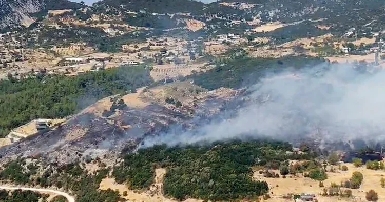 Orman yangınları... 73 soruşturma, 46 şüpheli, 12 tutuklama