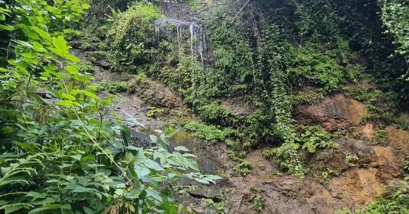 Giresun da fındık bahçesinde uçuruma düşen genç hayatını kaybetti