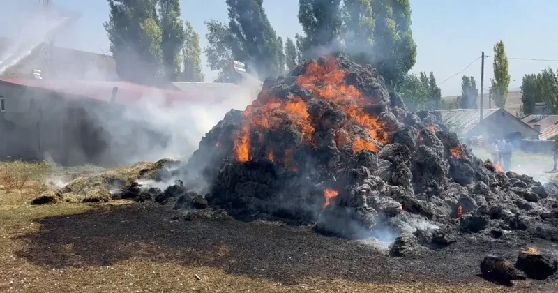 Kars’ta bin ot balyası kül oldu