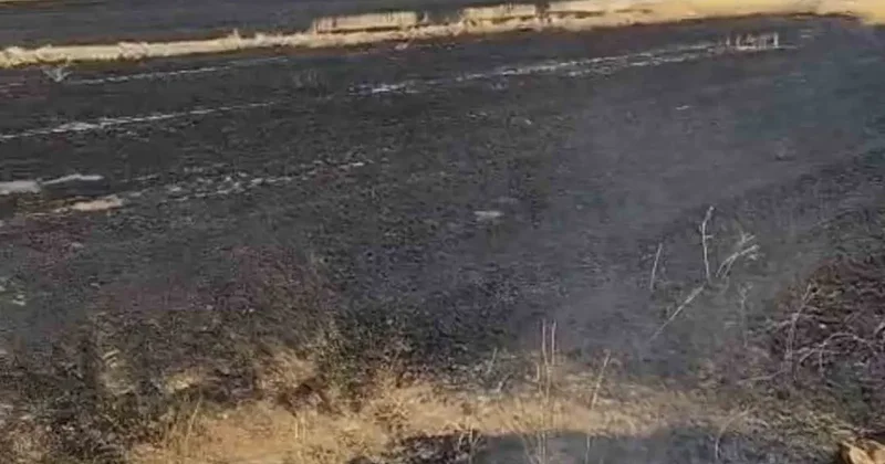 Anız ateşi kontrelden çıktı, bin dönüm otluk alan yandı