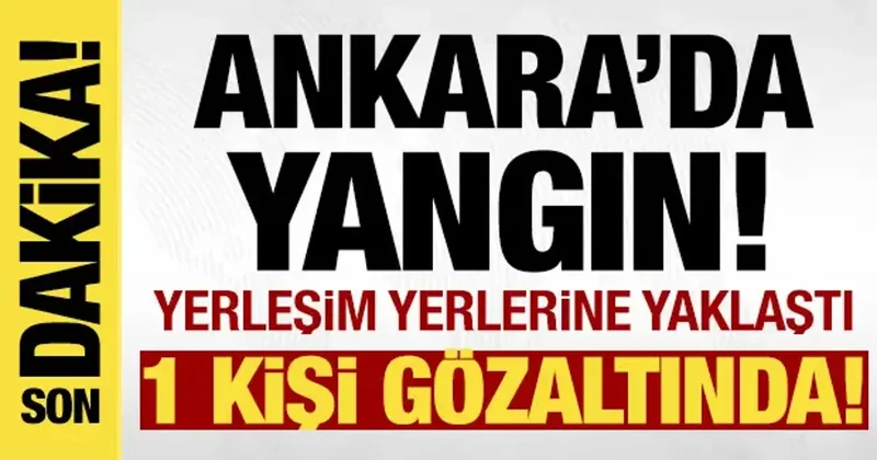 Son dakika: Ankara da yangın: Valilik duyurdu! 1 kişi gözaltında
