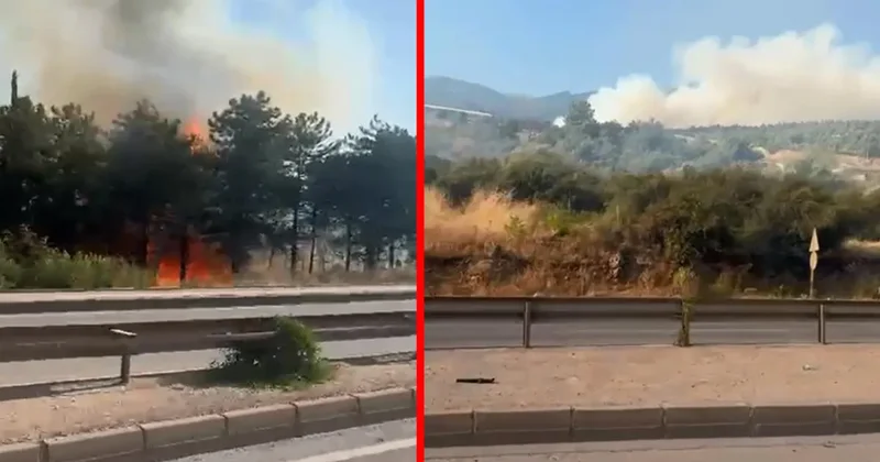 Bursa da üç noktada aynı anda yangın...Uludağ ın etekleri yanıyor: Çok sayıda ekip sevk edildi