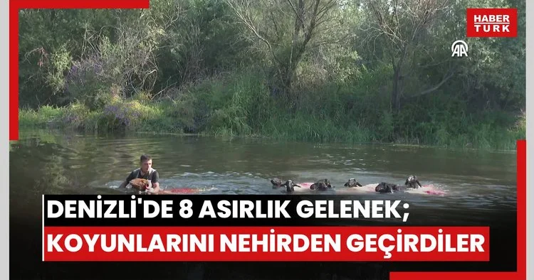 Denizli de 8 asırlık gelenek; koyunlarını nehirden geçirdiler